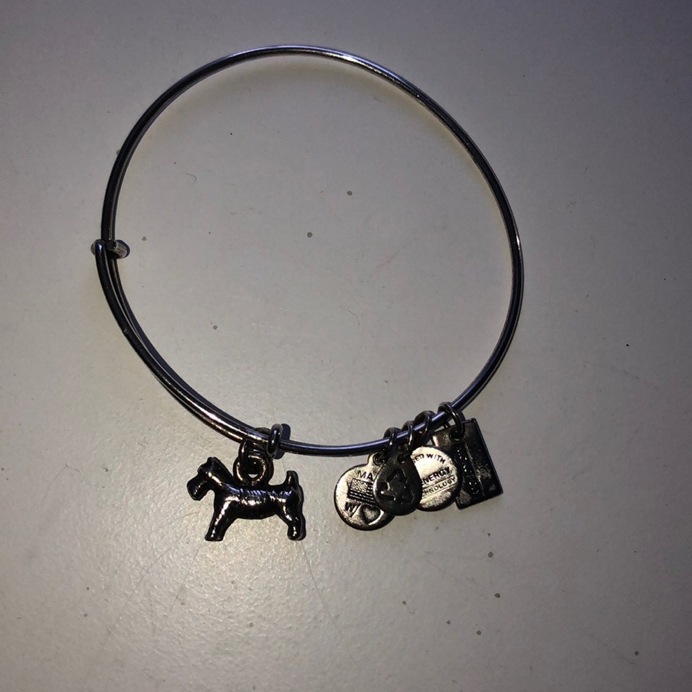 Alex and Ani silver monopoly dog bangle